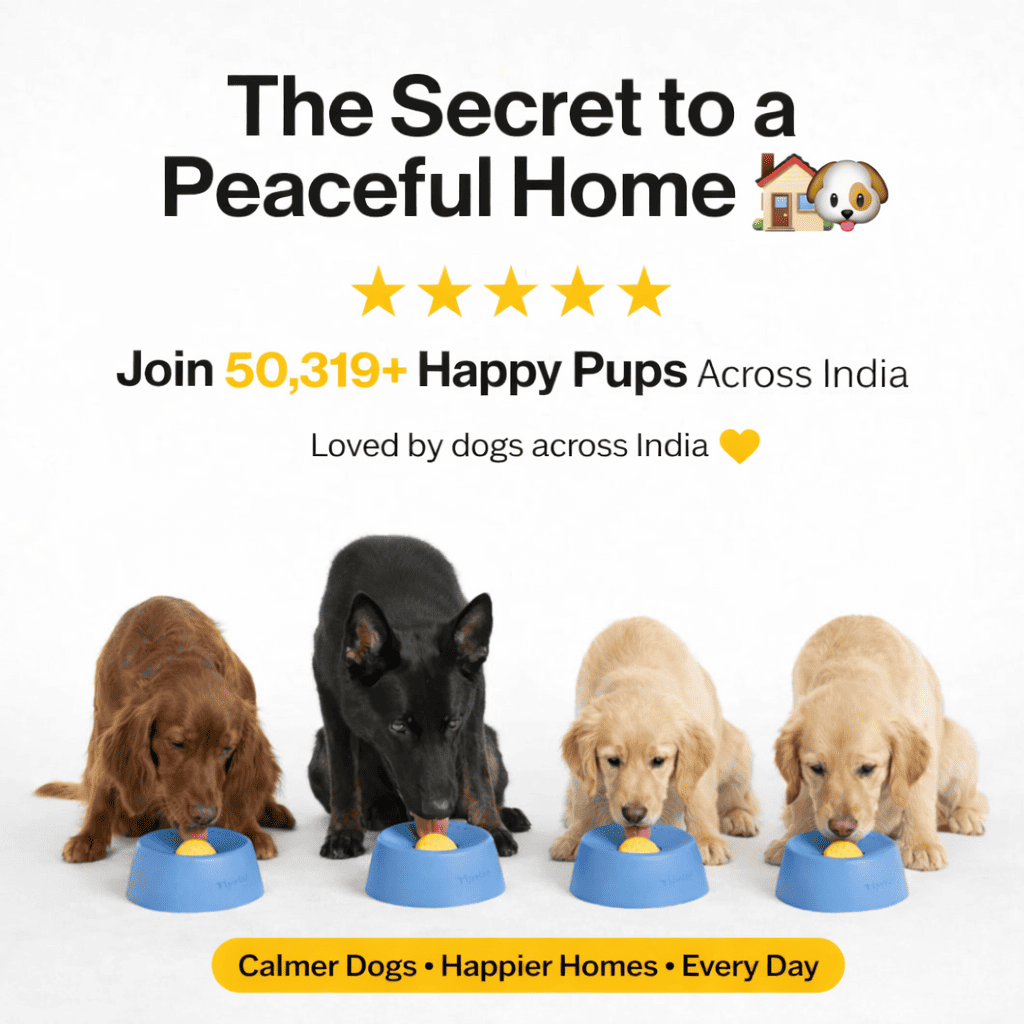 ZenPaw™ – The Interactive Calming Feeder for Dogs
