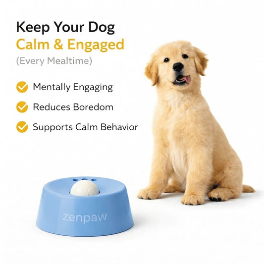 ZenPaw™ – The Interactive Calming Feeder for Dogs
